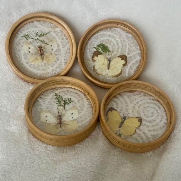 Other - Vintage 1970s Real Pressed Butterfly Bamboo Resin Lace Coasters Set of 4